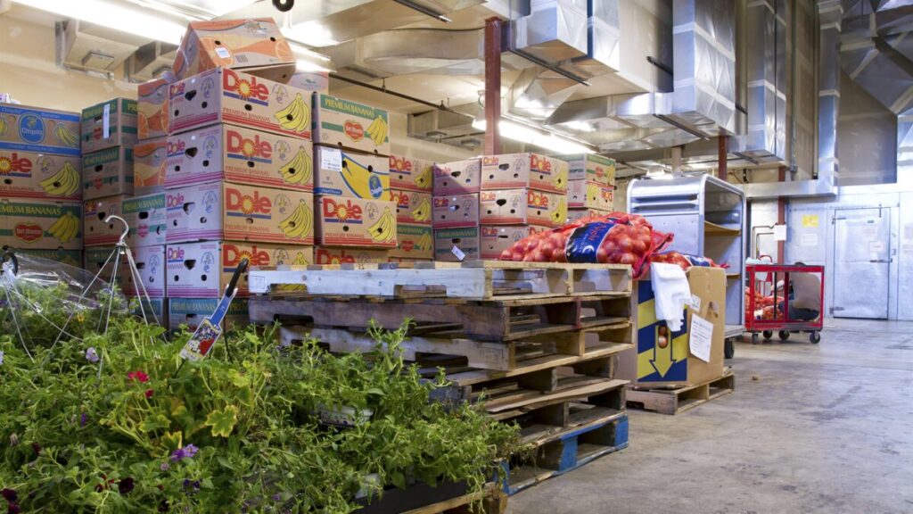 Volunteers helping Northwest Harvest with Christmas food drive in Washington
