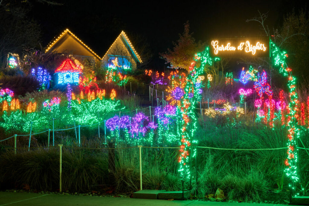 Colorful holiday lights at Bellevue Botanical Garden’s Garden d’Lights.