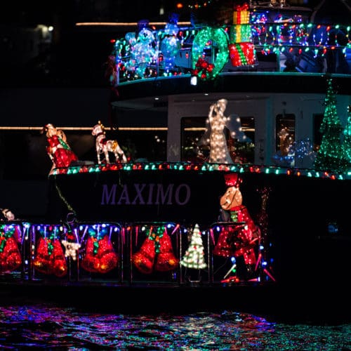 Puget Sound Lighted Boat Parade 2025 showing decorated holiday boats near Shilshole Bay Marina