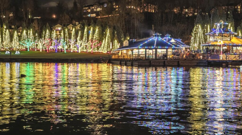 Sparkling waterfront reflections of illuminated trees.